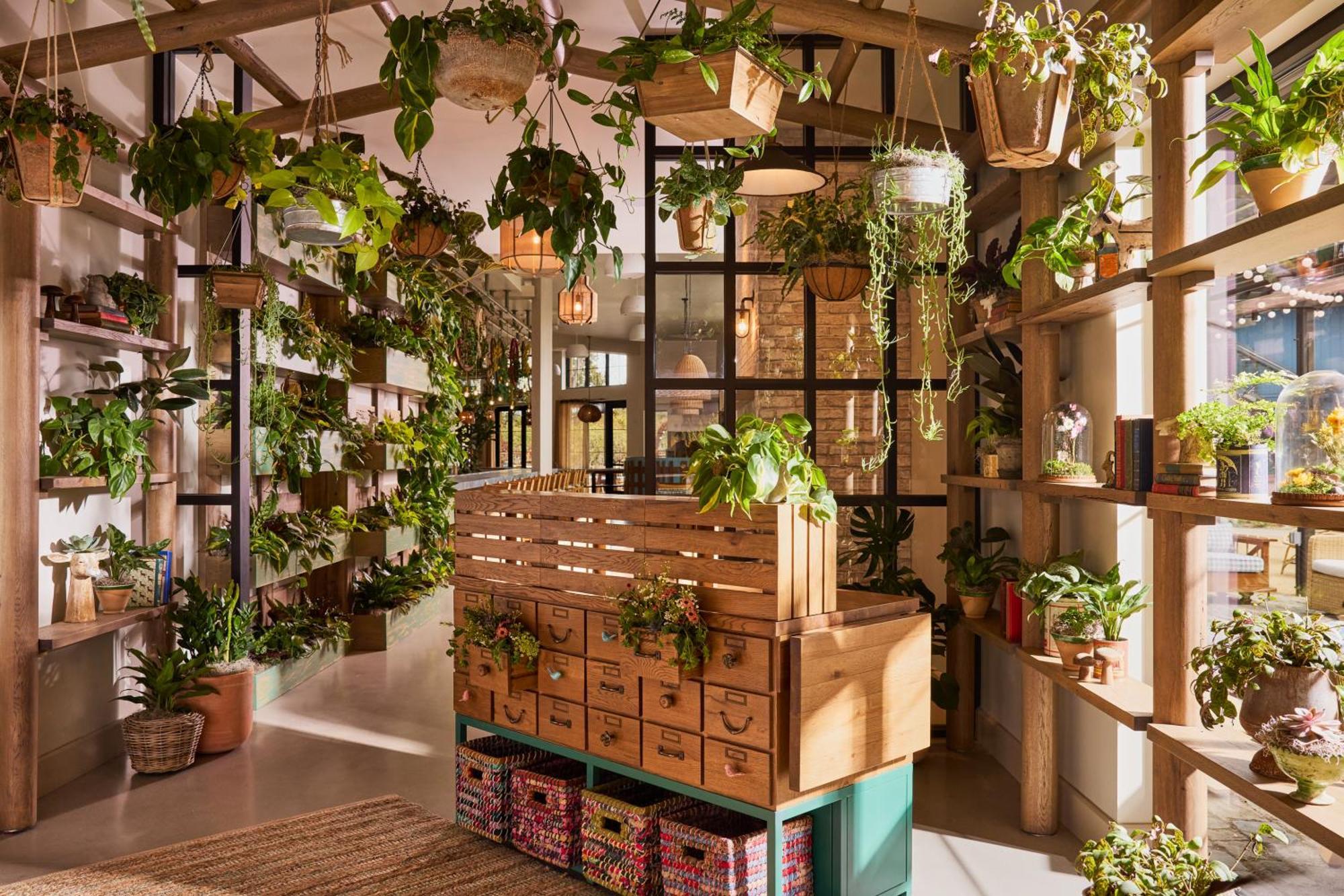 Treehouse Hotel Silicon Valley Сънивейл Екстериор снимка